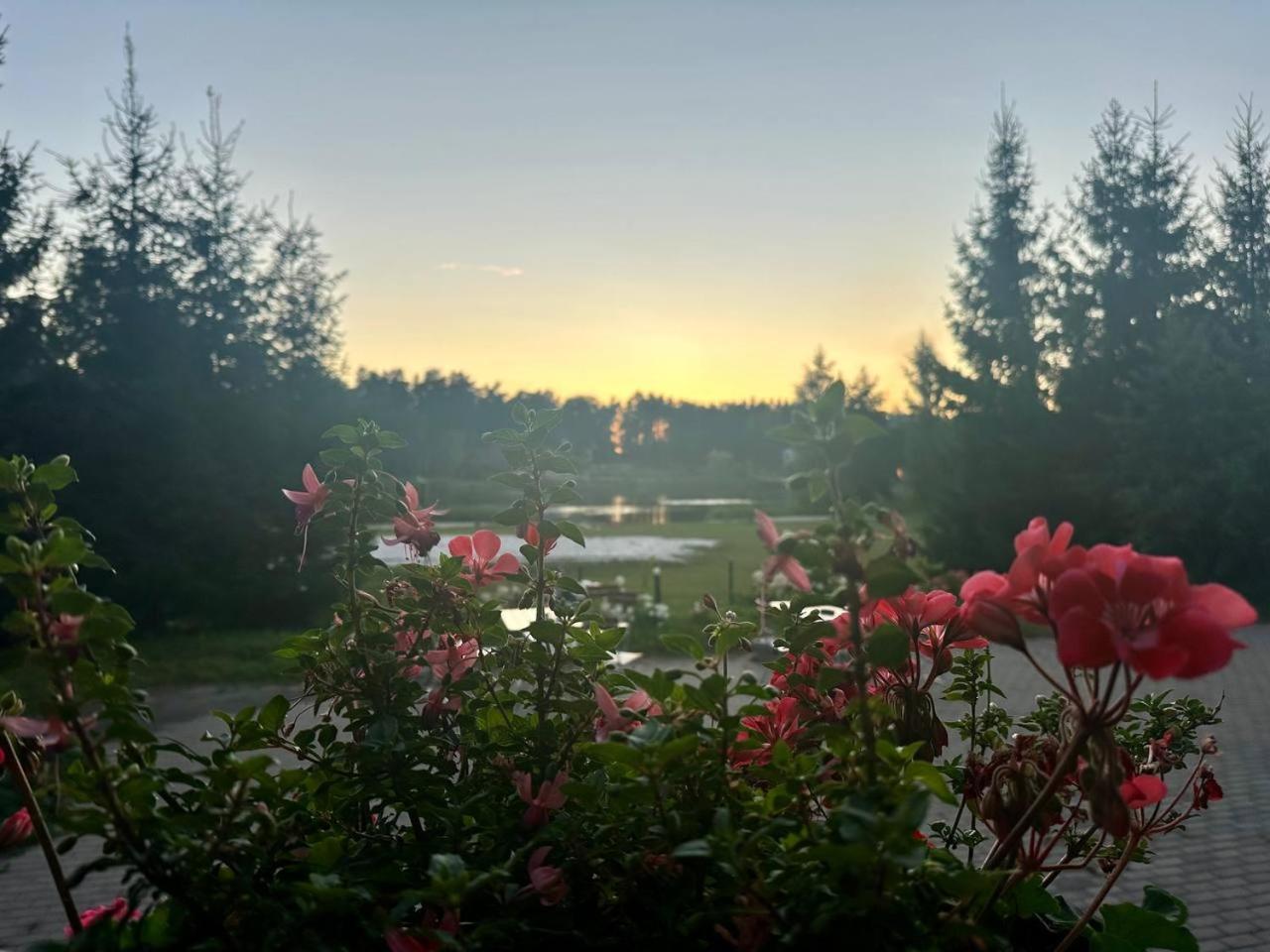 Laguna House Līči Buitenkant foto